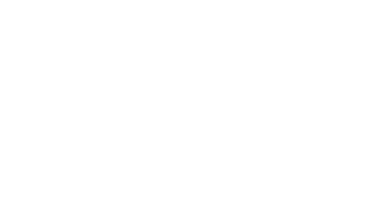 Logo Permis à 1€ par jour blanc